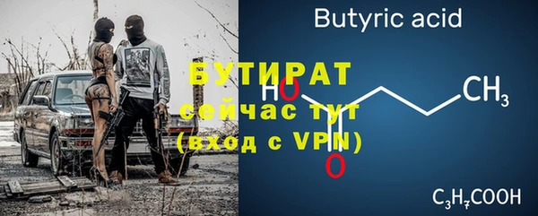 хмурый Аркадак