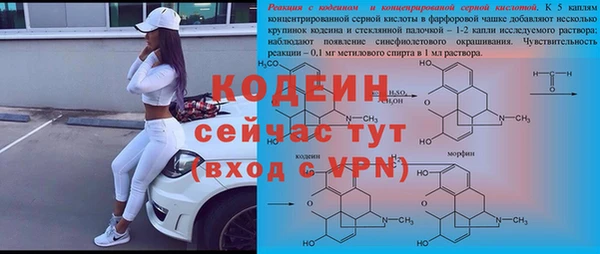 спиды Арсеньев