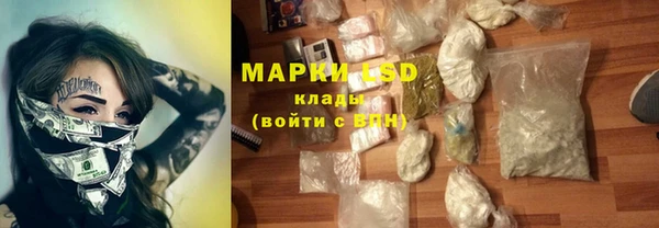хмурый Аркадак
