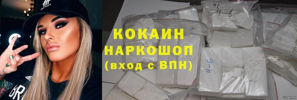 хмурый Аркадак