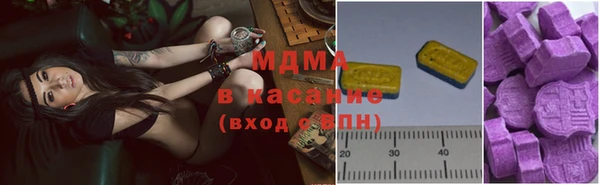 хмурый Аркадак