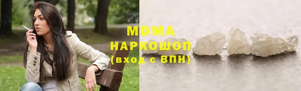 хмурый Аркадак