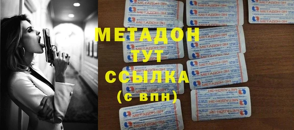 хмурый Аркадак