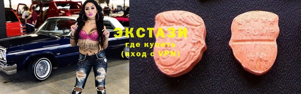 хмурый Аркадак