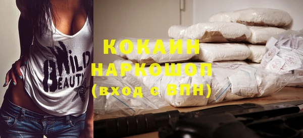 хмурый Аркадак