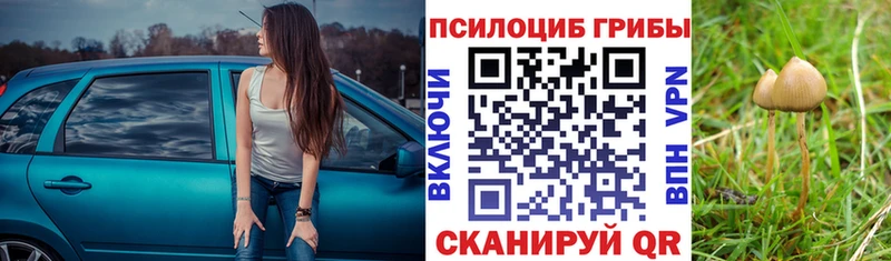 ссылка на мегу ONION  Среднеуральск  Псилоцибиновые грибы Psilocybe 